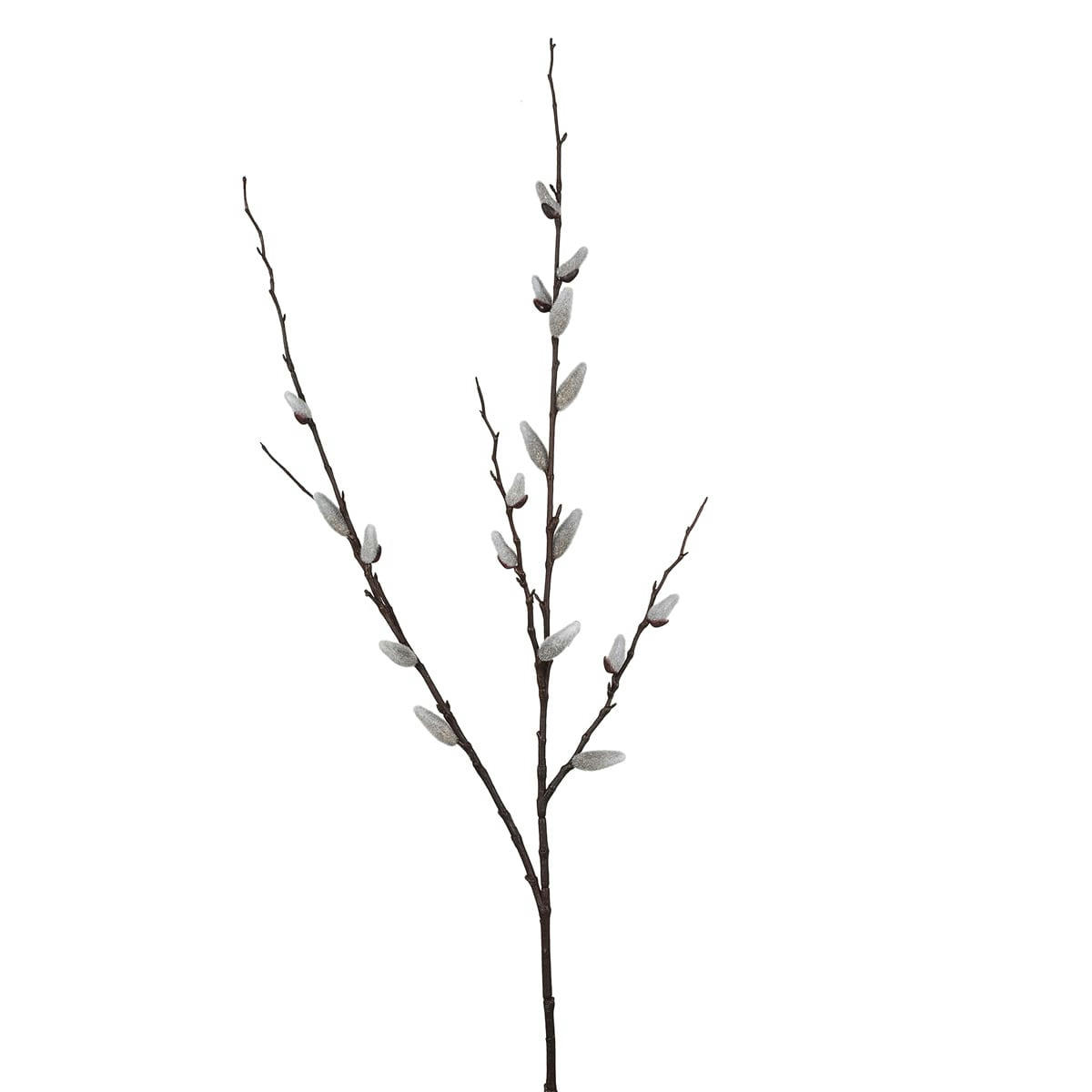 - Tige de saule H106