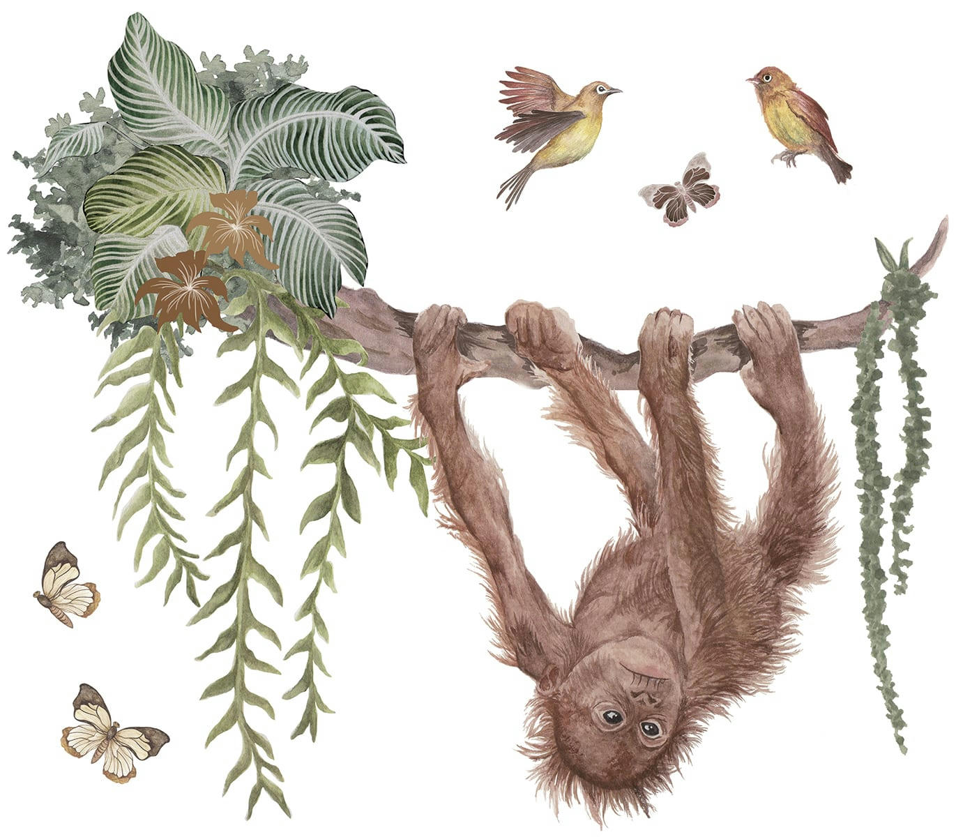 UTAN - Sticker xl orang outan en Vinyle mat Multicolore 80x70 cm