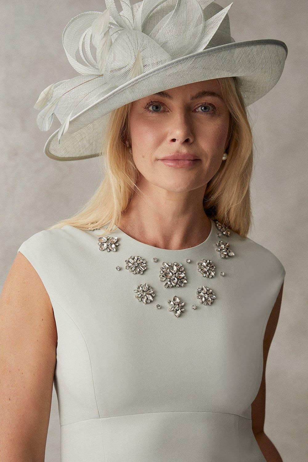 Coast Jewel Embellished Pencil Dress