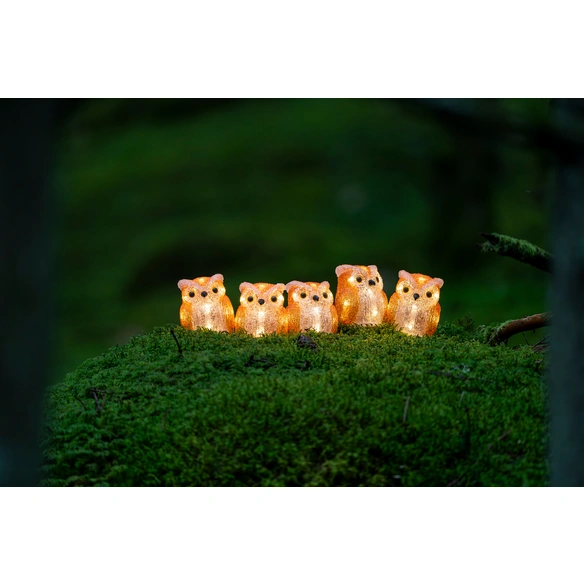 LED-Lampe, 5er Set, LxBxH: 7,5x7,5x10 cm, warmweiß, orange
