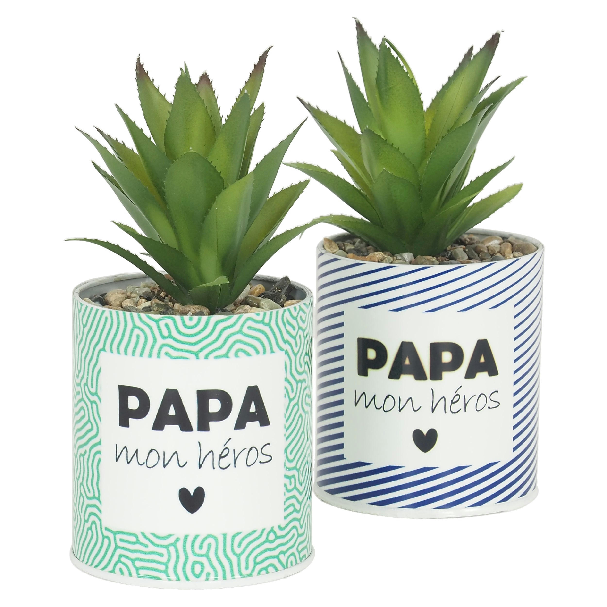 - Succulente artificielle en pot 17cm lot de 2