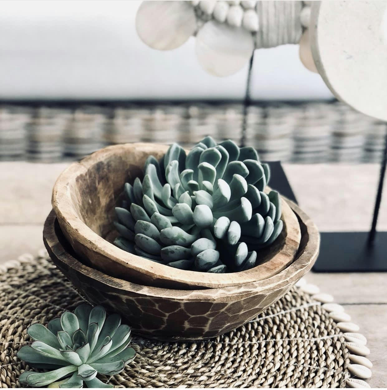 SEAGRASS - Set de table en herbes de mer et coquillages naturel