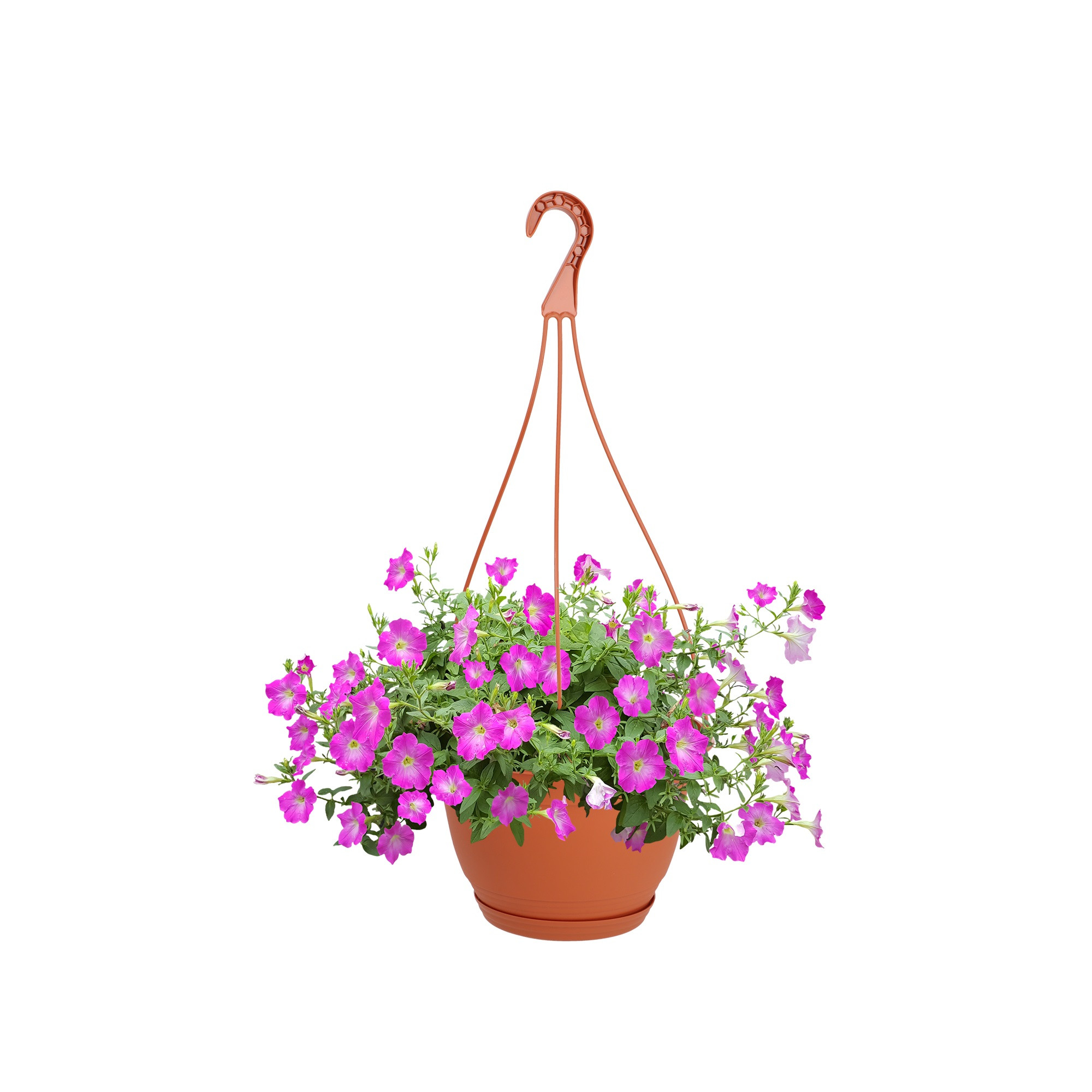 Doniczka Balkonowa Wisząca z Podstawką 18 cm Terra