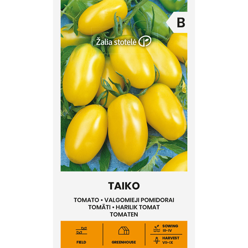 Tomat 'Taiko'