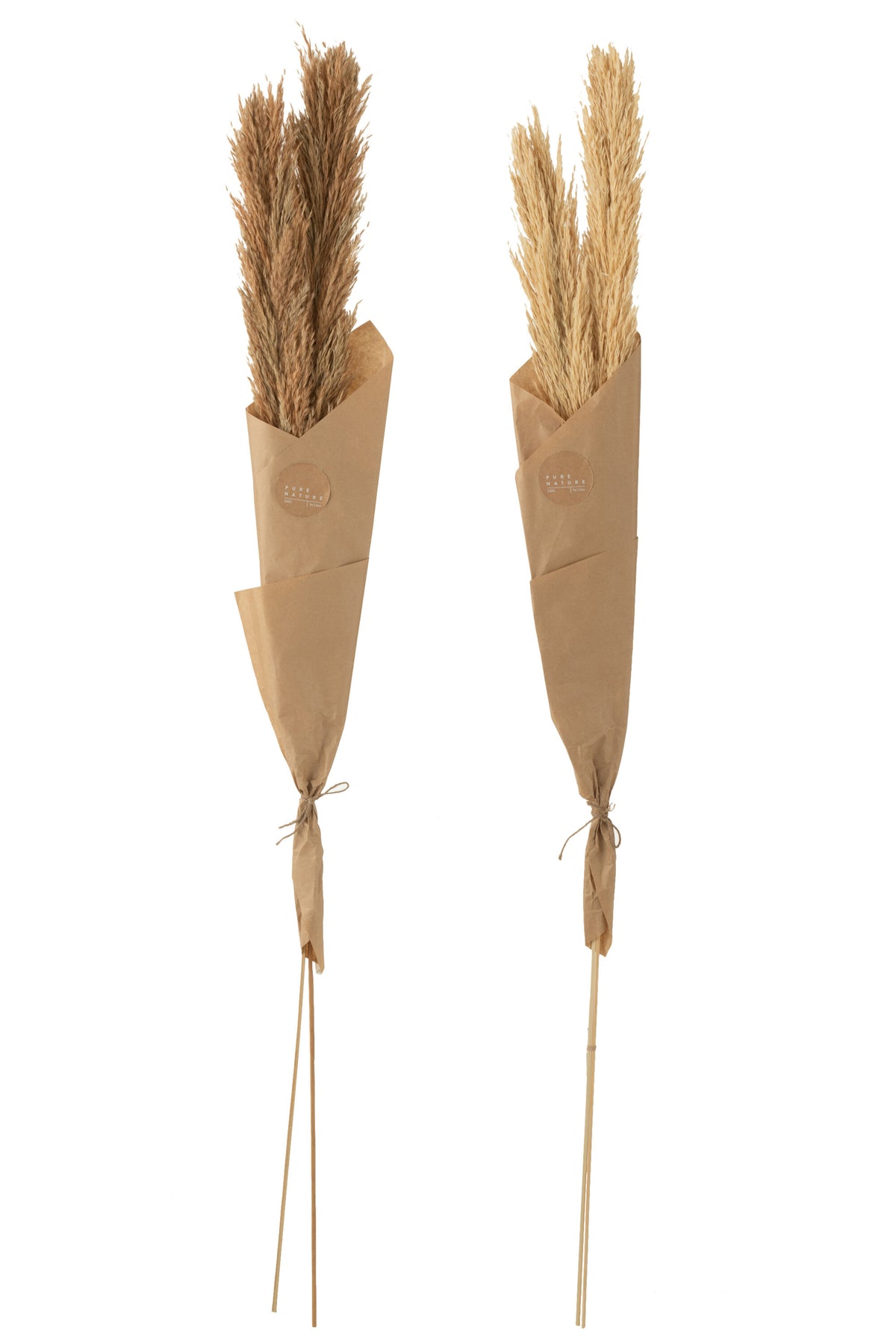 J-Line droogbloemen - Tak Veer Pampas - naturel - 2 stuks