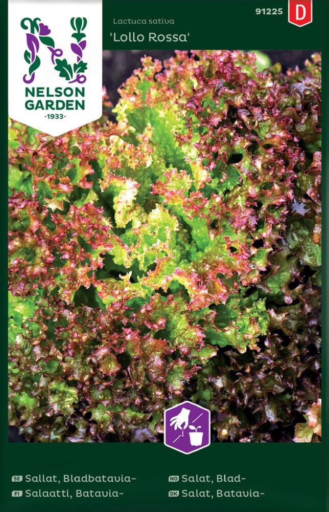 GRØNNSAKSFRØ NELSON GARDEN BLADSALAT LOLLO ROSSA
