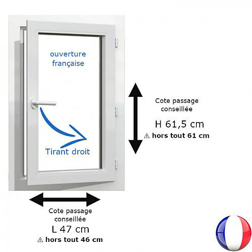 Fenêtre PVC blanc 1 vantail hors tout H 61 x L 46 cm ouverture française pour pose rénovation - tirant droit