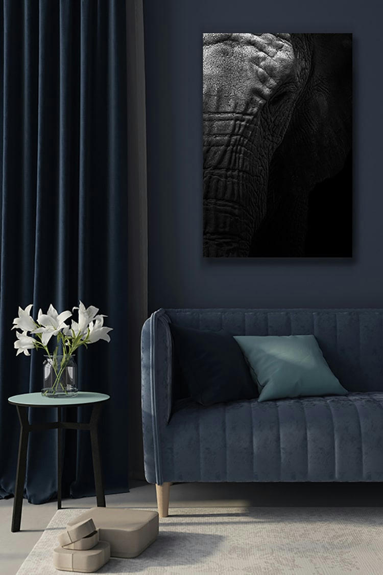 ÂME SENSIBLE - Photographie d'art de Guillaume Mordacq 40x60 cm sur alu