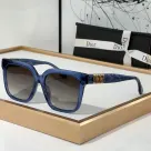 Dior Mirror Leg Stereoscopic Logo sunglasses