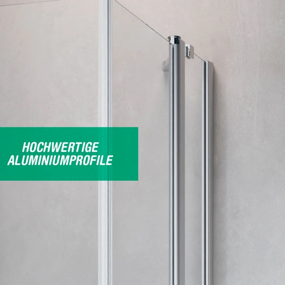 Pendeltür, Höhe: 195 cm, edelsilber, Scheibenstärke: 6 mm