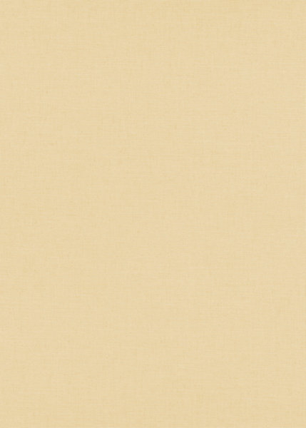 Papier peint vinyle sur intissé uni casual beige L.1005 x l.53cm Erismann