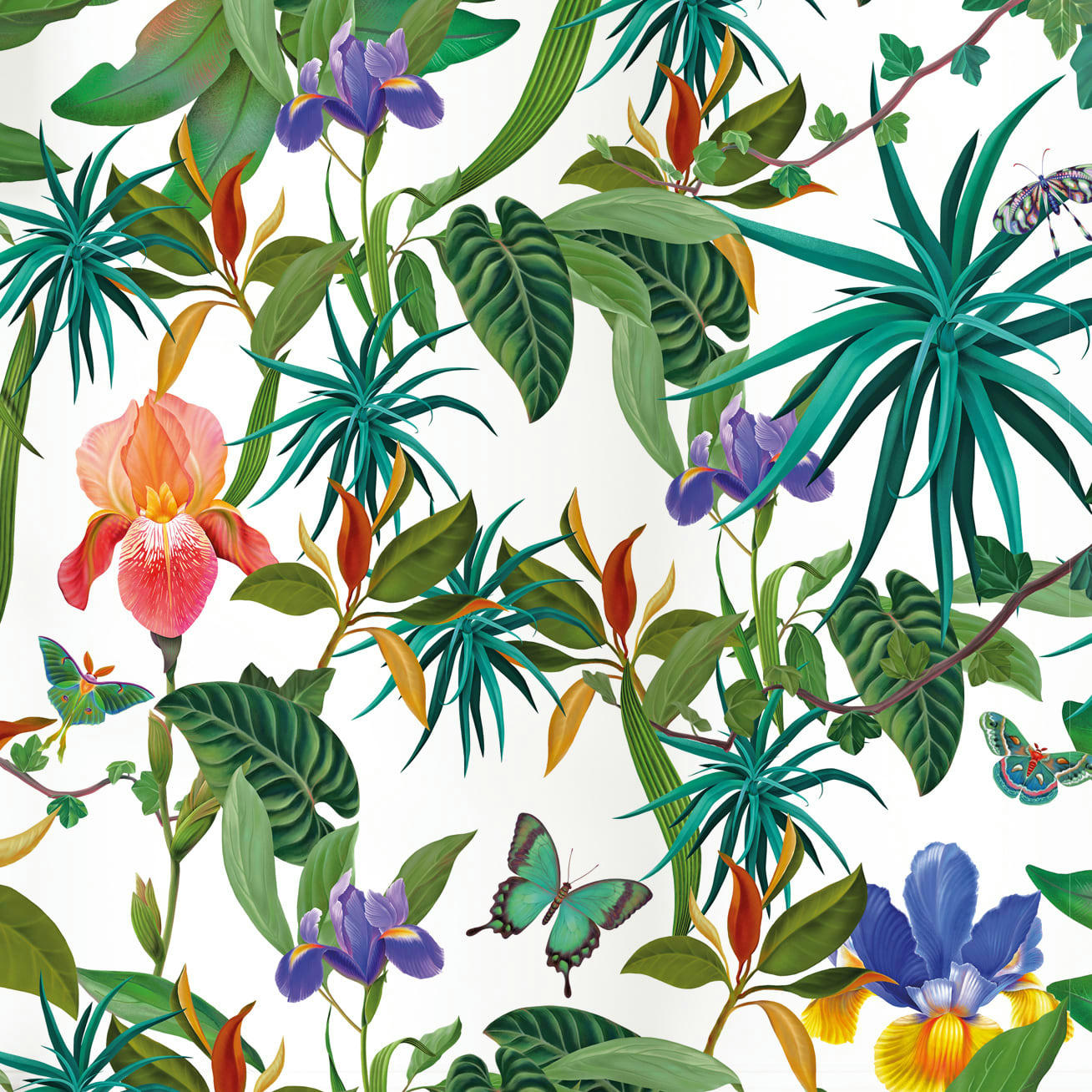 - Papier peint Blushy Wild light 425x260