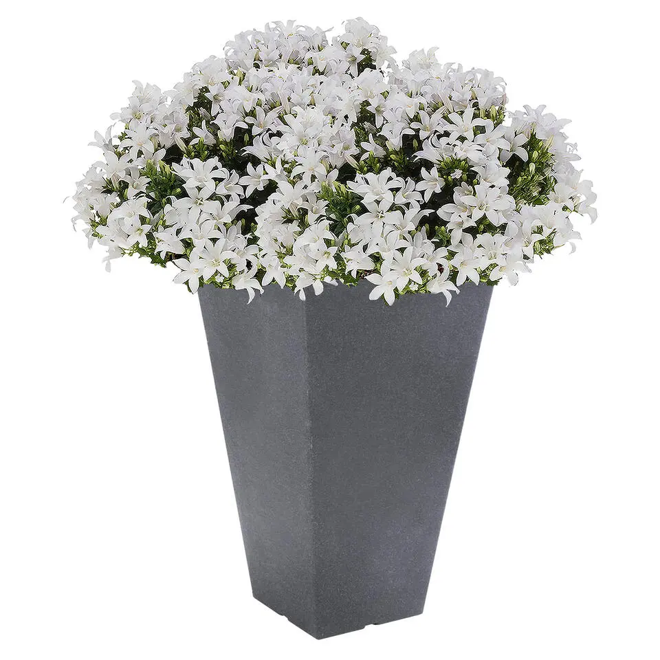 Bloempot - grijs - antraciet grijs - kunststof - 55 cm