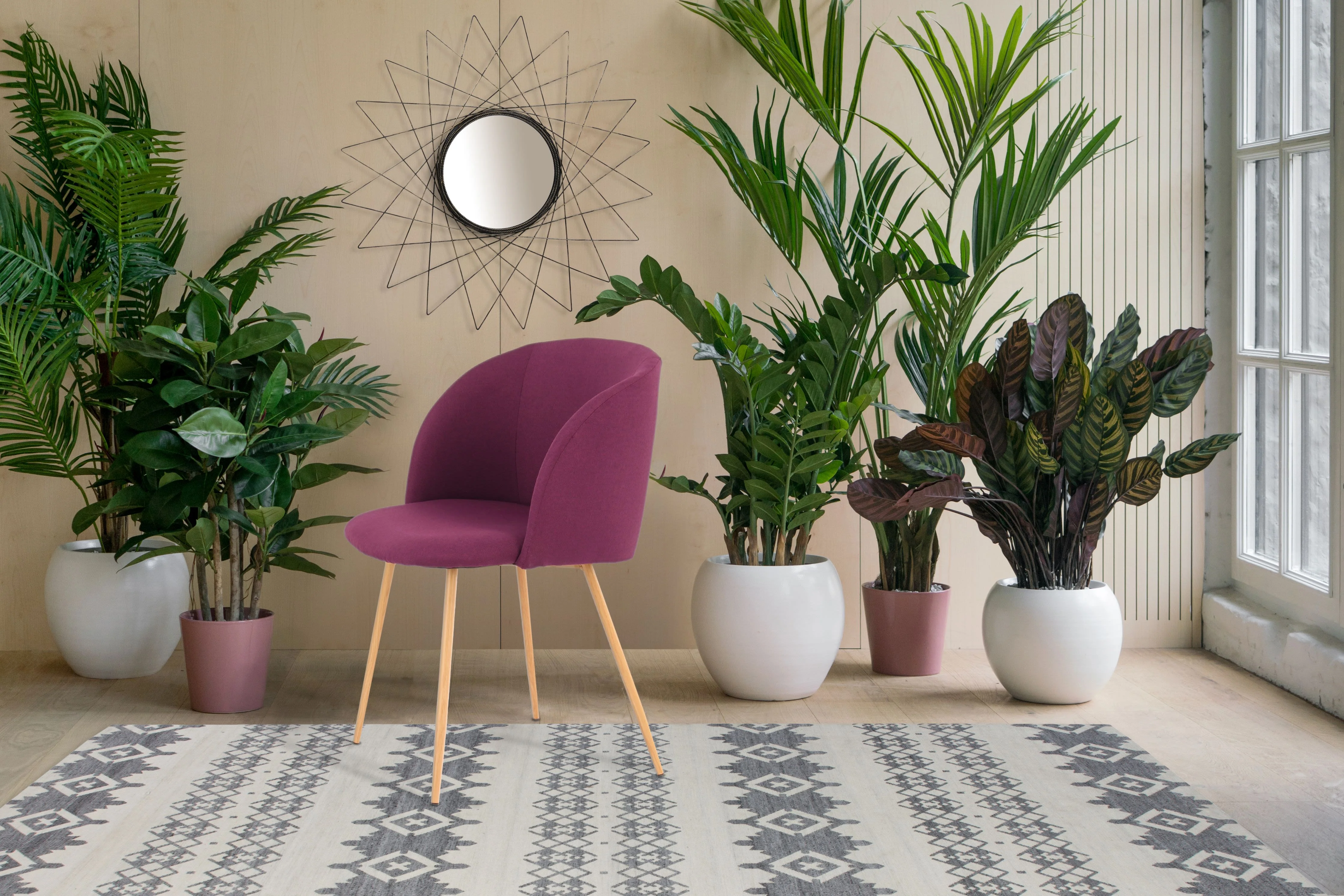 Set van 2 eetkamerstoelen Celdic