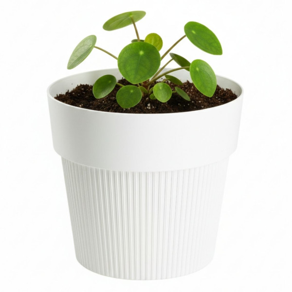 Donica plastikowa SILVA LINE kremowa okrągła do domu 13,2 cm