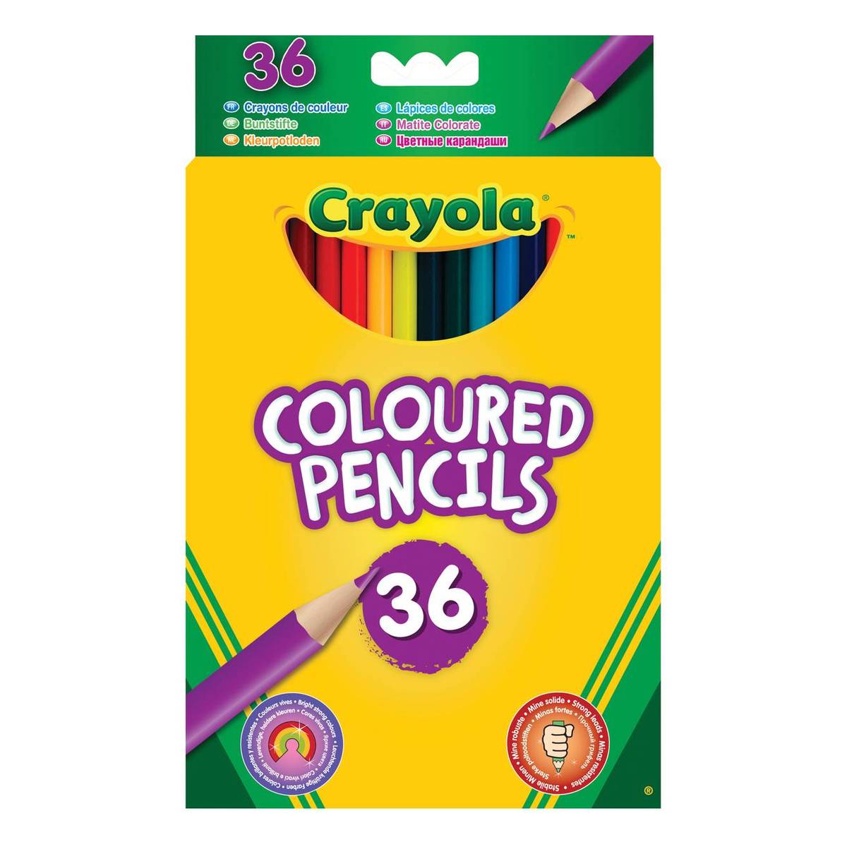 Crayola Coloured Pencils 36 Pack