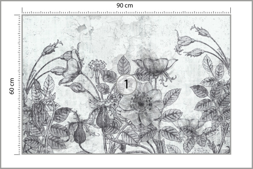 Fototapeta Czarno-Białe Kwiaty Na Betonie 90x60cm