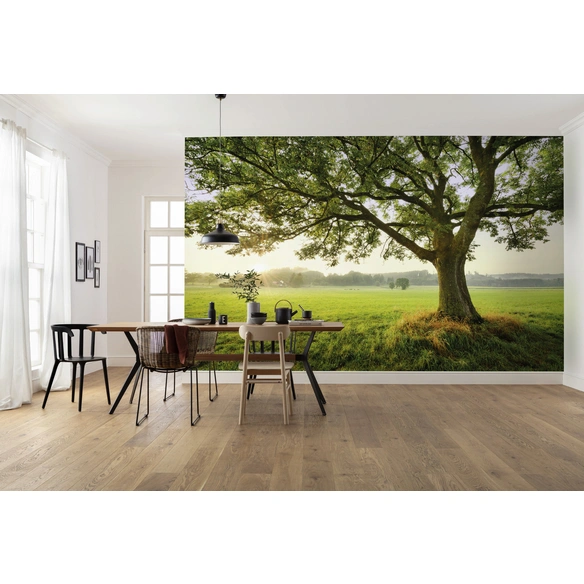 Vliestapete »The Magic Tree«, Breite 450 cm, seidenmatt