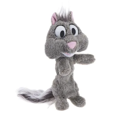 Squirrel Dog Toy