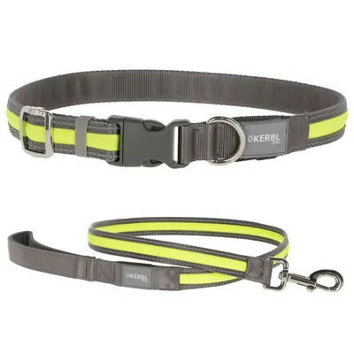 Kerbl Pet Light & Reflex Set Illuminated Collar and Lead