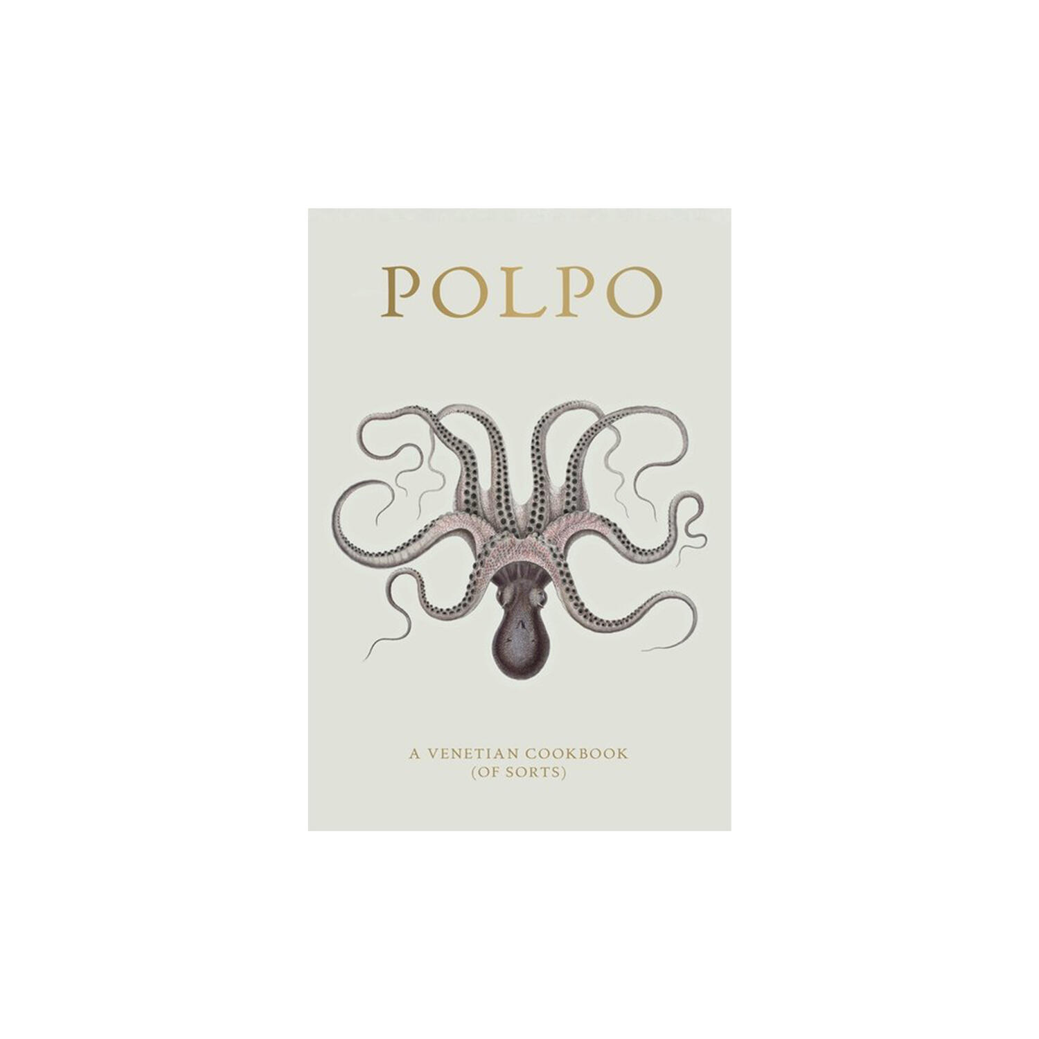 Polpo