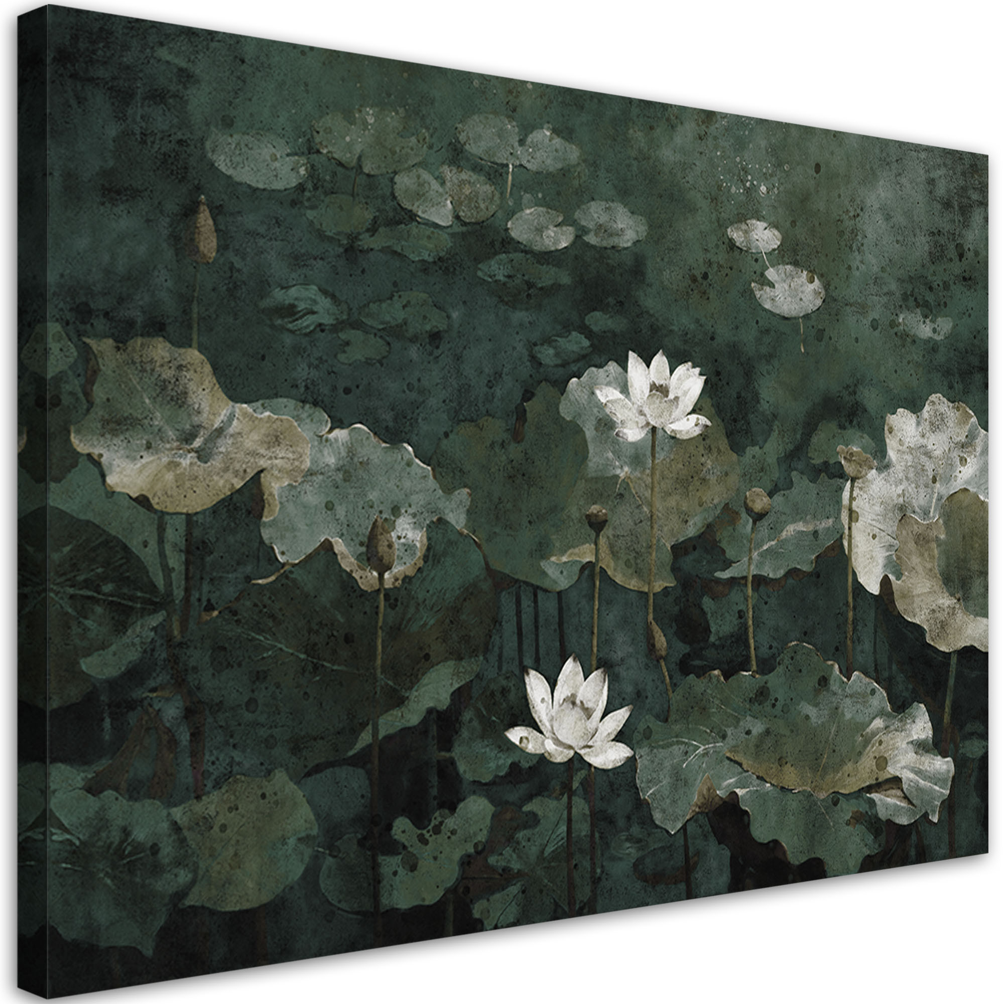 Feeby Obraz na płótnie Lilie wodne vintage 60x40