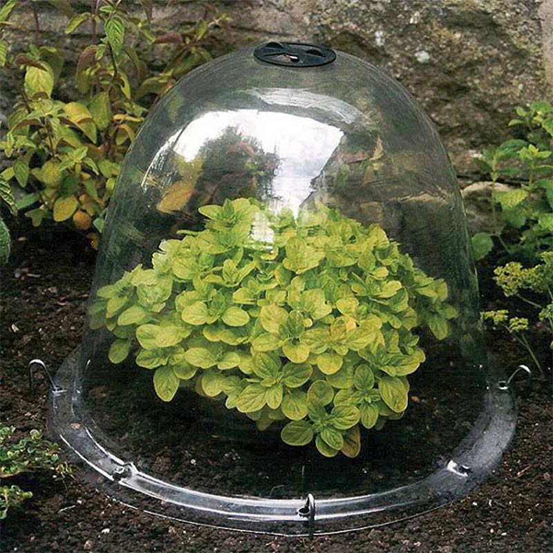 Original Victorian Bell odlingsklocka, 3-pack