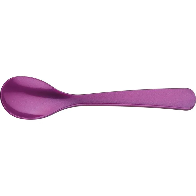 Löffel 12er-Set Colore