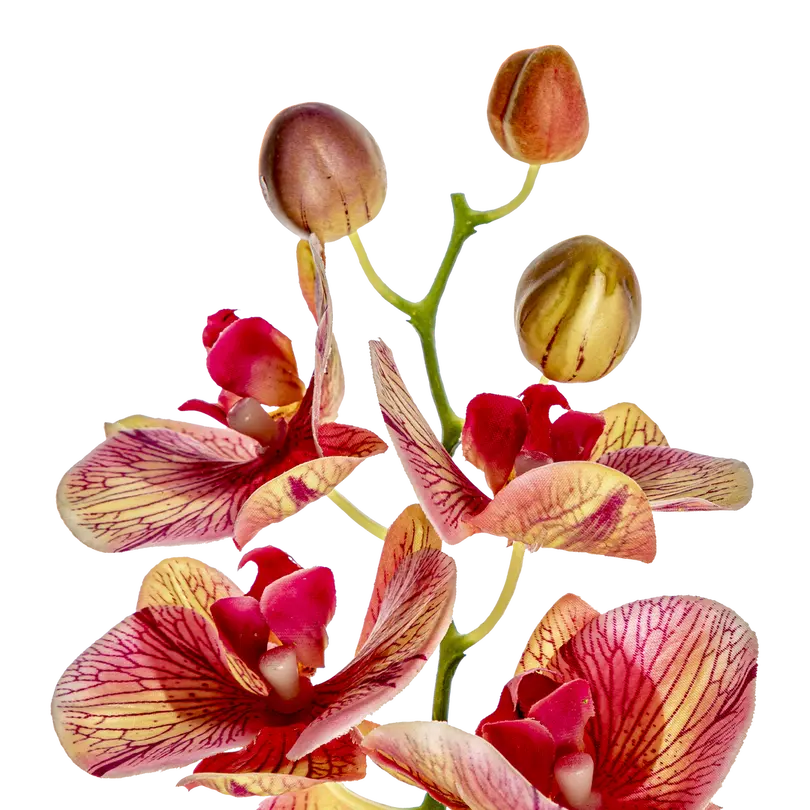 Kunstblume Orchid