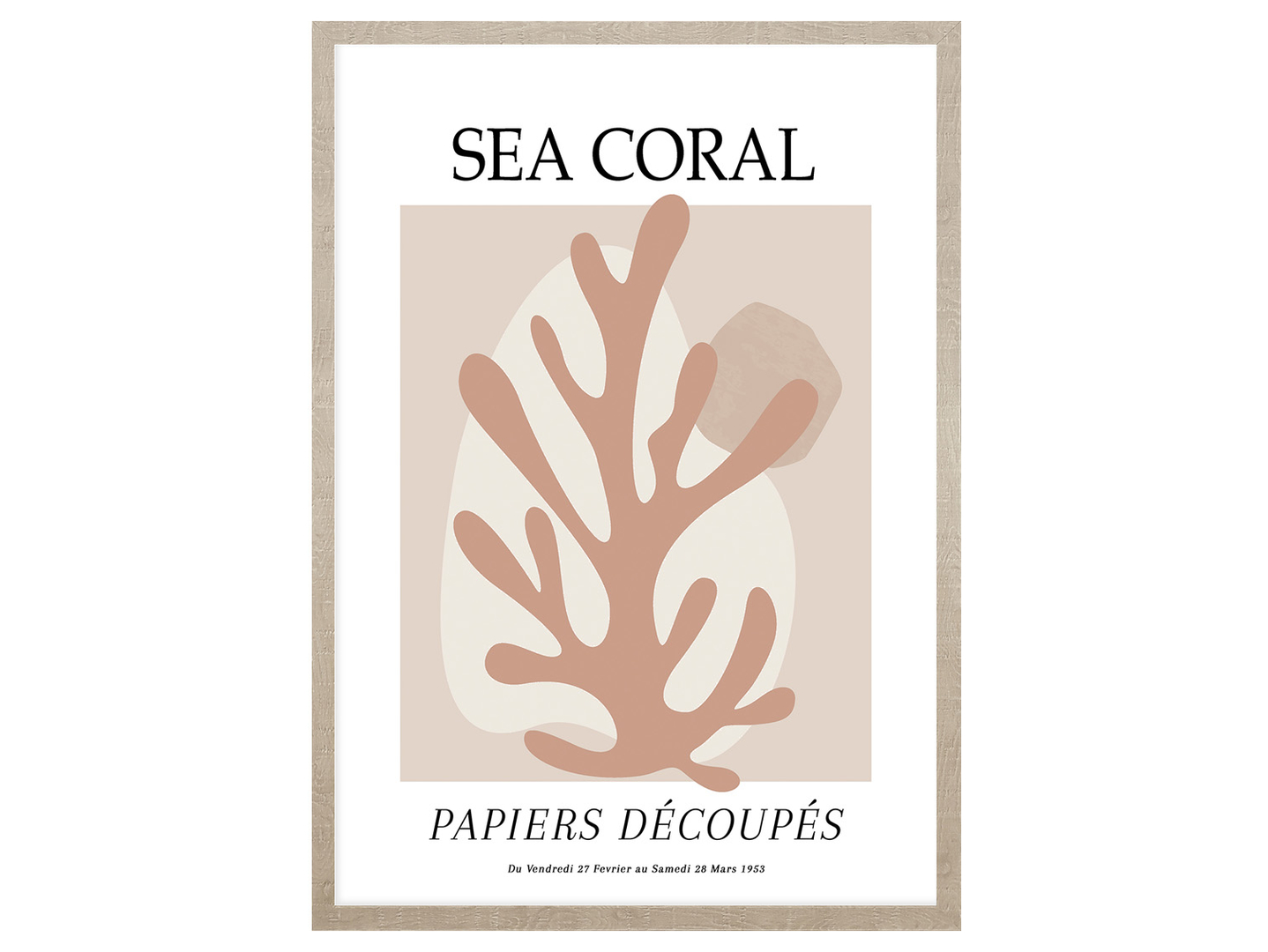 Obraz w ramie Sea Coral 53x73 cm