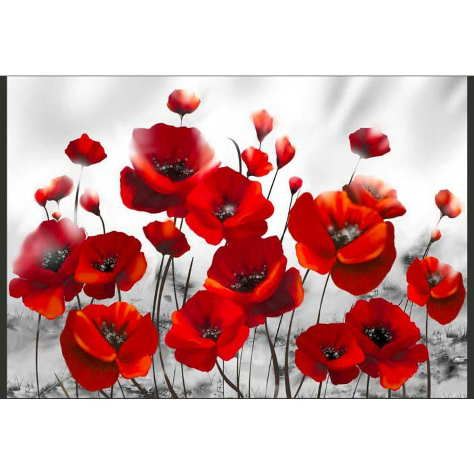 - Papier peint coquelicots au clair de lune 350 x 245 cm