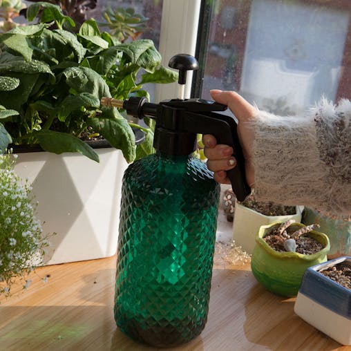 SOGA 2L Mist Water Spray Bottle with Adjustable Nozzle and Top Pump