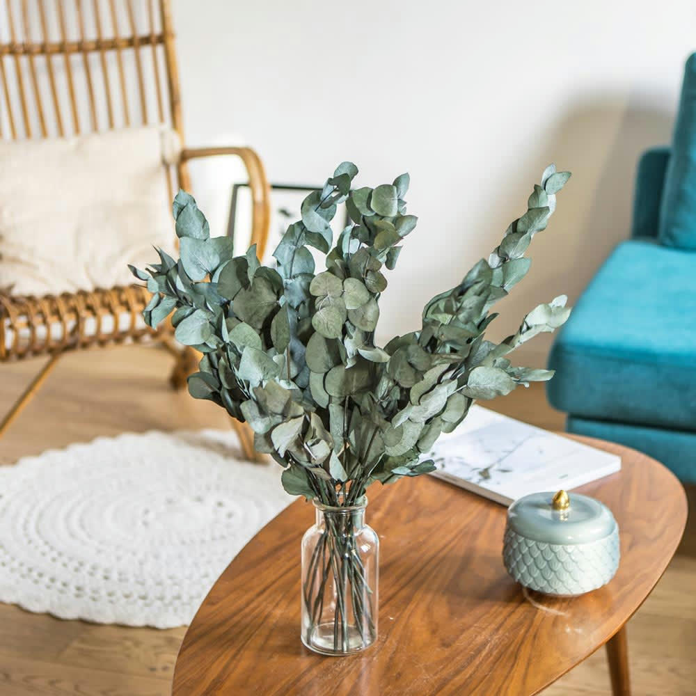 EUCALYPTUS - Botte de fleurs séchées eucalyptus cinerea stabilisé