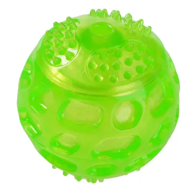 Squeaky Ball Dog Toy
