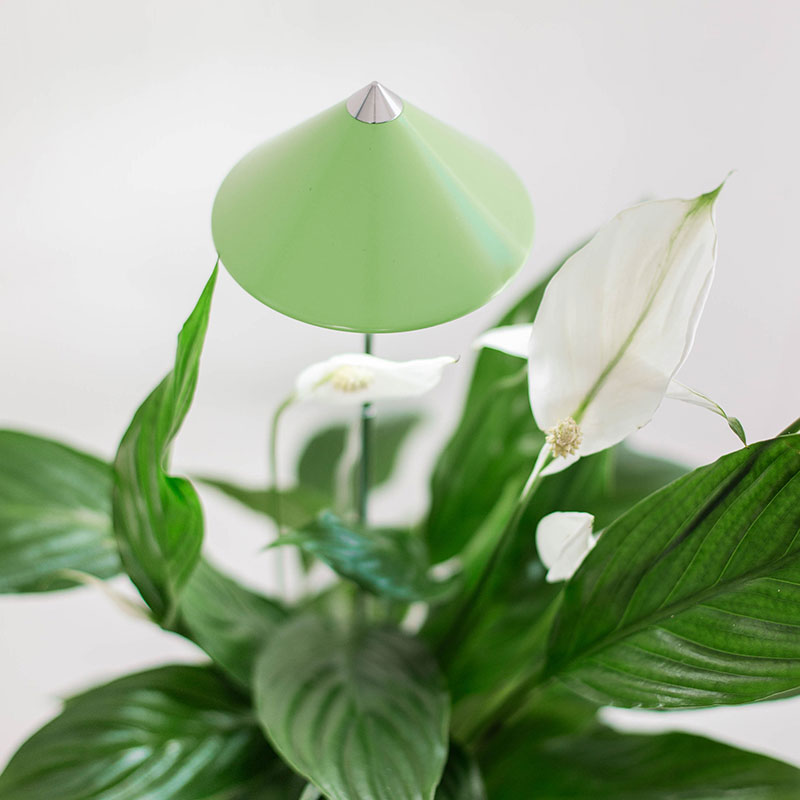 SunLite växtlampa med teleskopstativ, limegrön