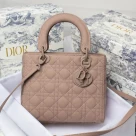 Dior The LADY D-LITE Bag