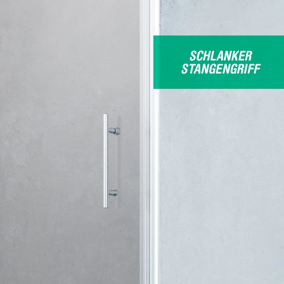 Drehtür, Höhe: 195 cm, edelsilber, Scheibenstärke: 6 mm