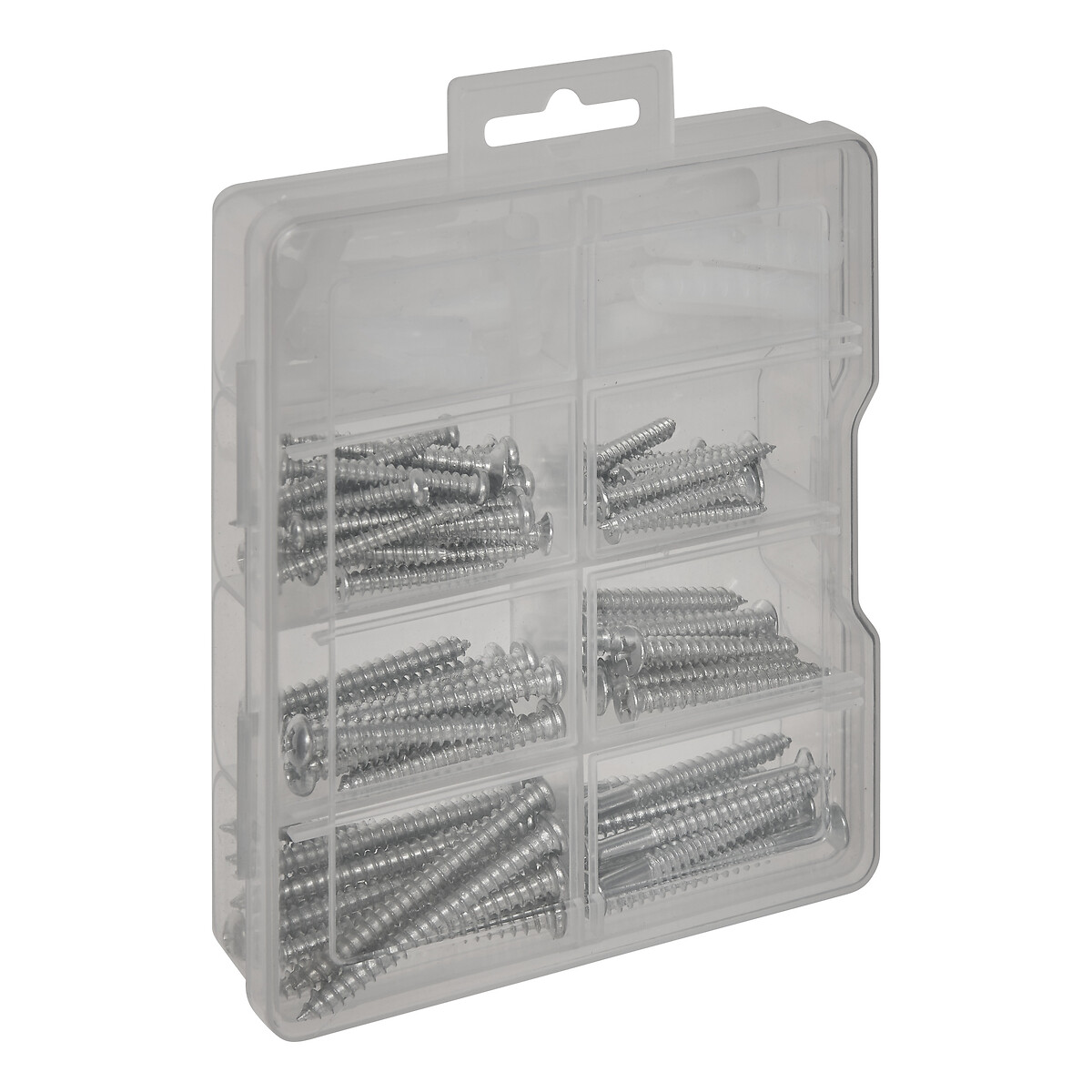 Caixa com 101 Parafusos e Cavilhas Sortidos