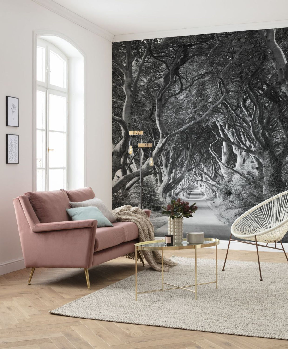 Sanders & Sanders fotobehang bos zwart wit - 250 x 280 cm - 612585