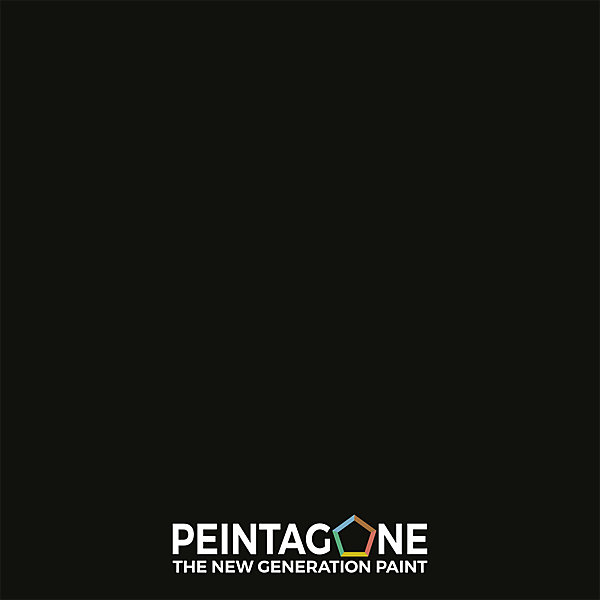Laque de finition extra résistante pour mur int. &bois - Lak PU Pro Gloss, 0,5 l, Intense Black (PE168)