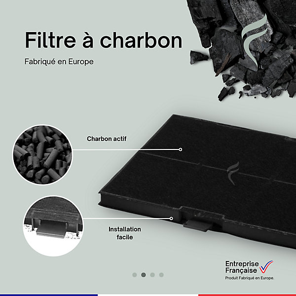 Filtre à Charbon pour Hotte Neff - Z5102X1, 11026771 - 315x215x22mm