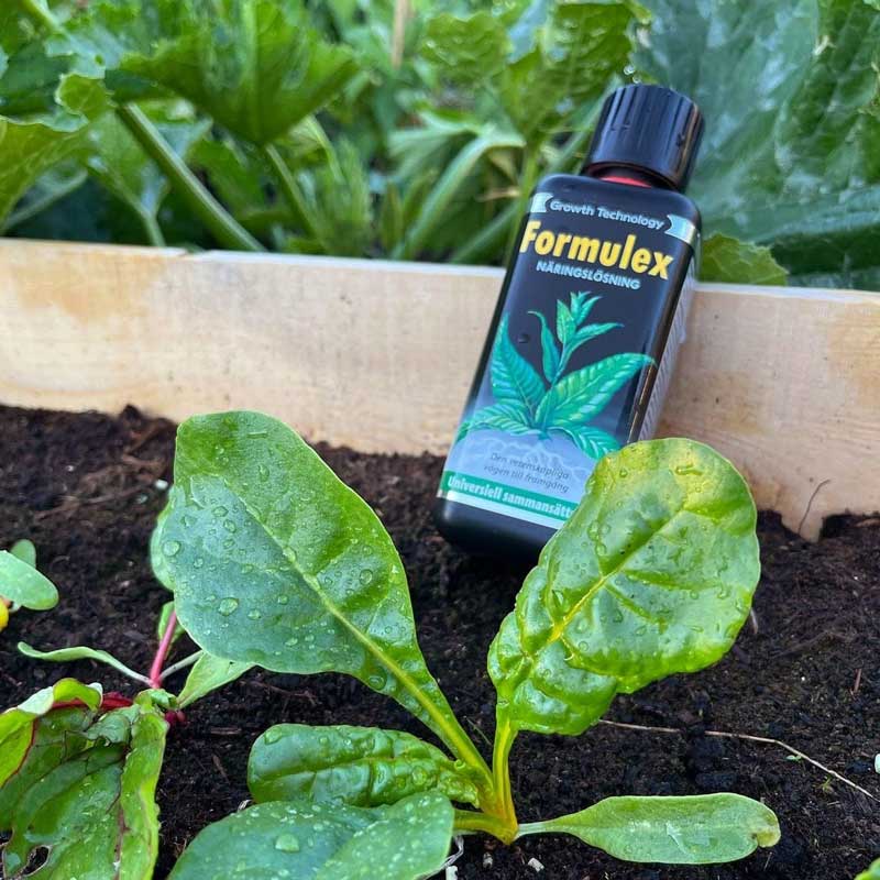 Formulex, 300 ml