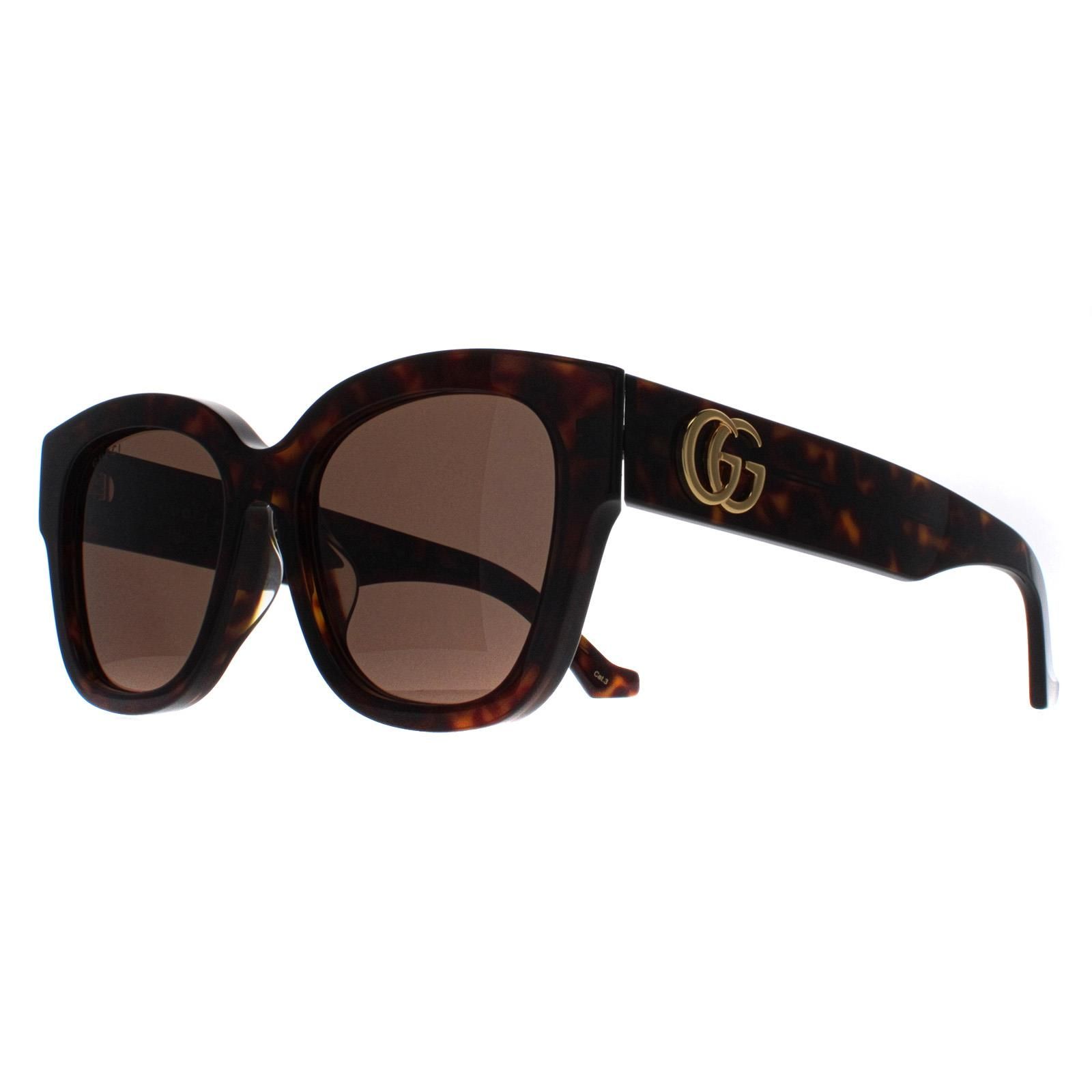 Gucci Butterfly Havana Brown GG1550SK
