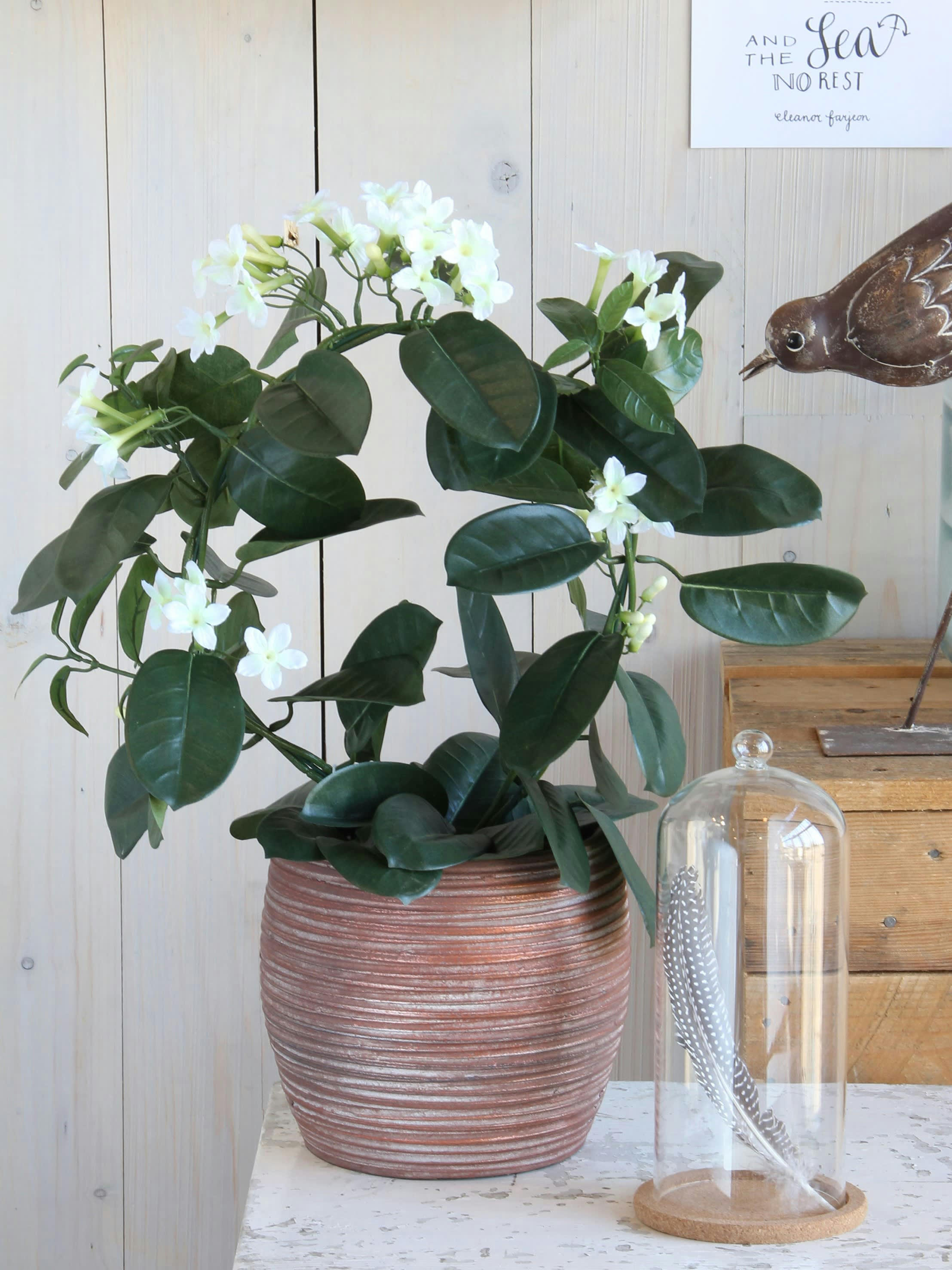 - Stephanotis artificielle blanc en pot H50