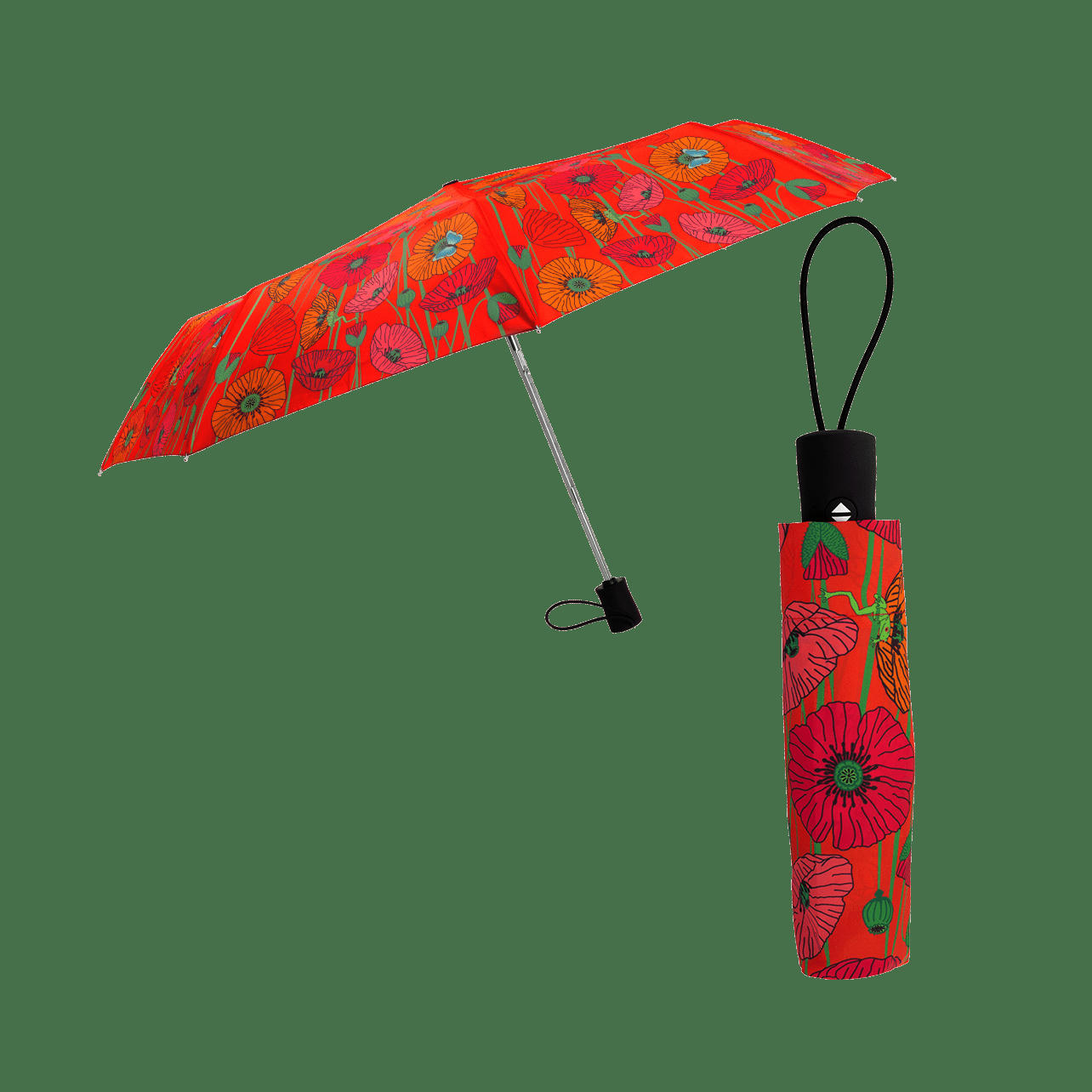 PARAPLI - Parapluie