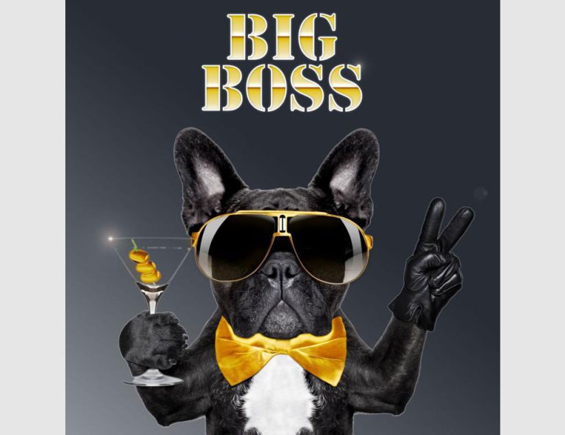 Bild Big Boss Bulldogge