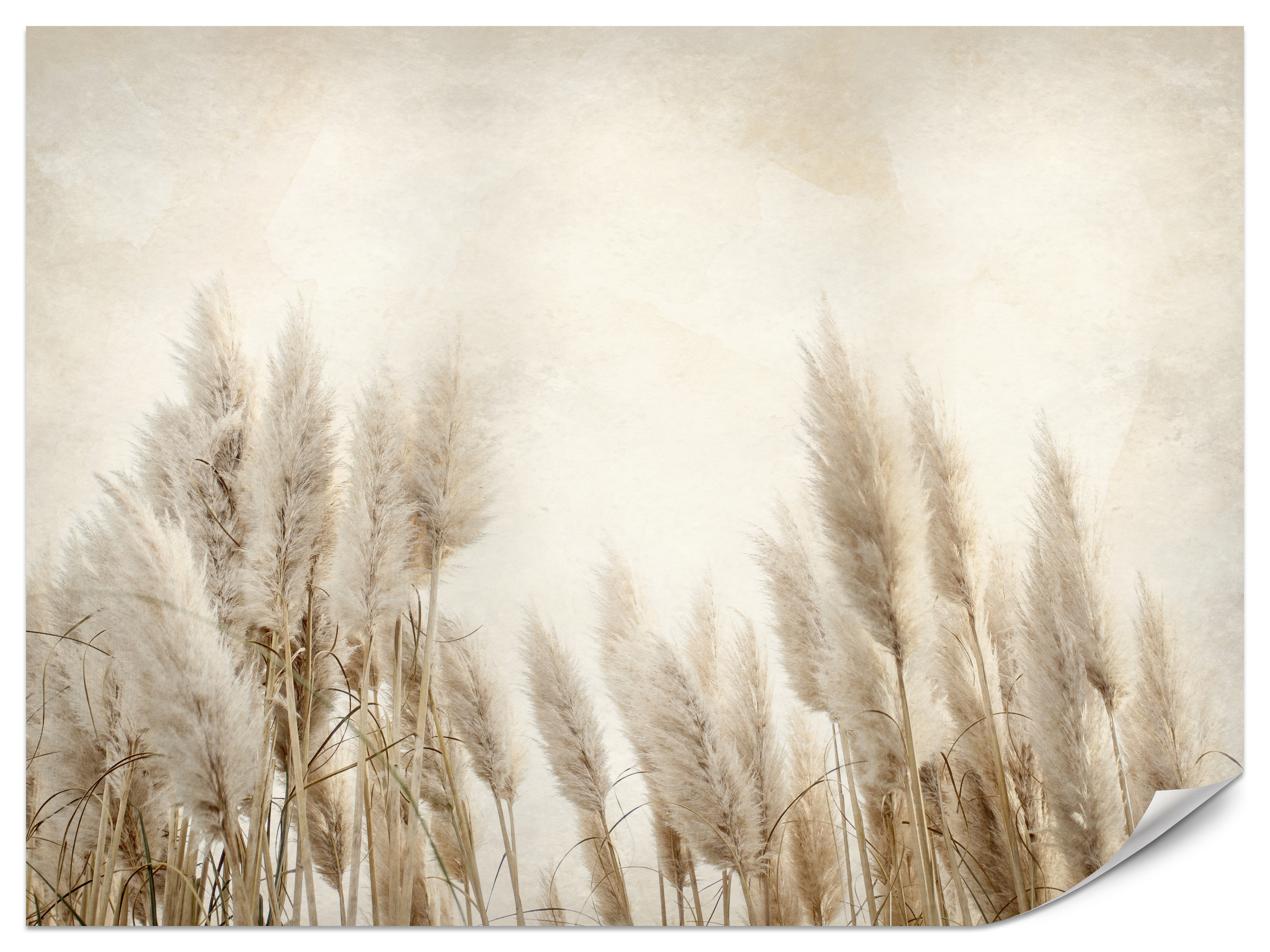 Fototapeta Słoneczne krzewy 100x70cm