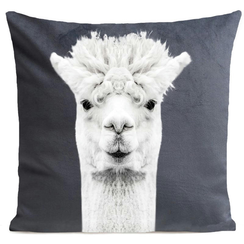 - Coussin enfant lama velours gris 40x40cm