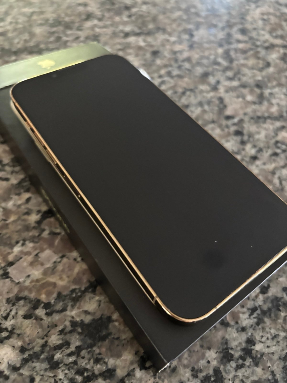 iPhone 13 Pro Max unlocked