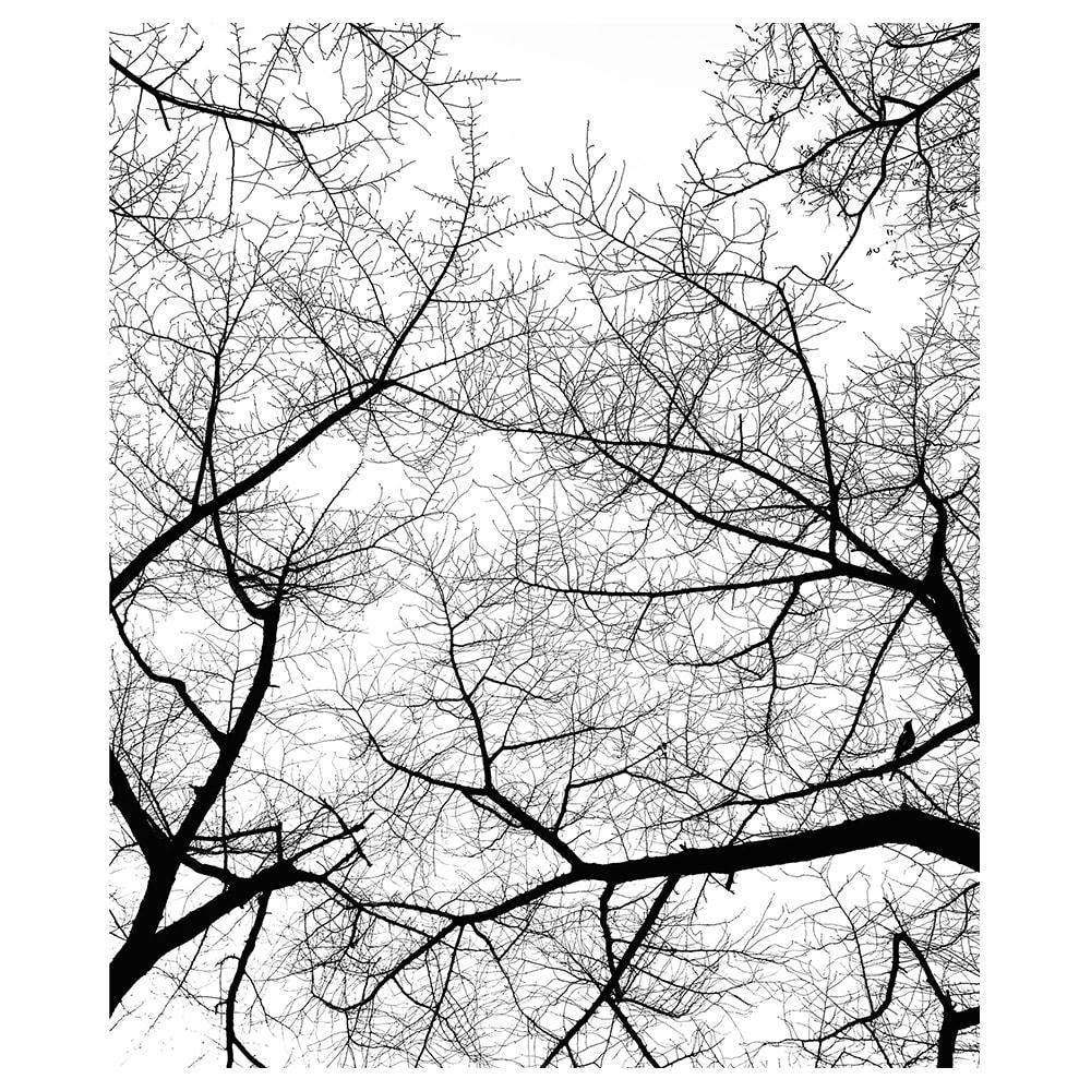 - Tableau impression sur toile le ciel en hiver 60x75cm